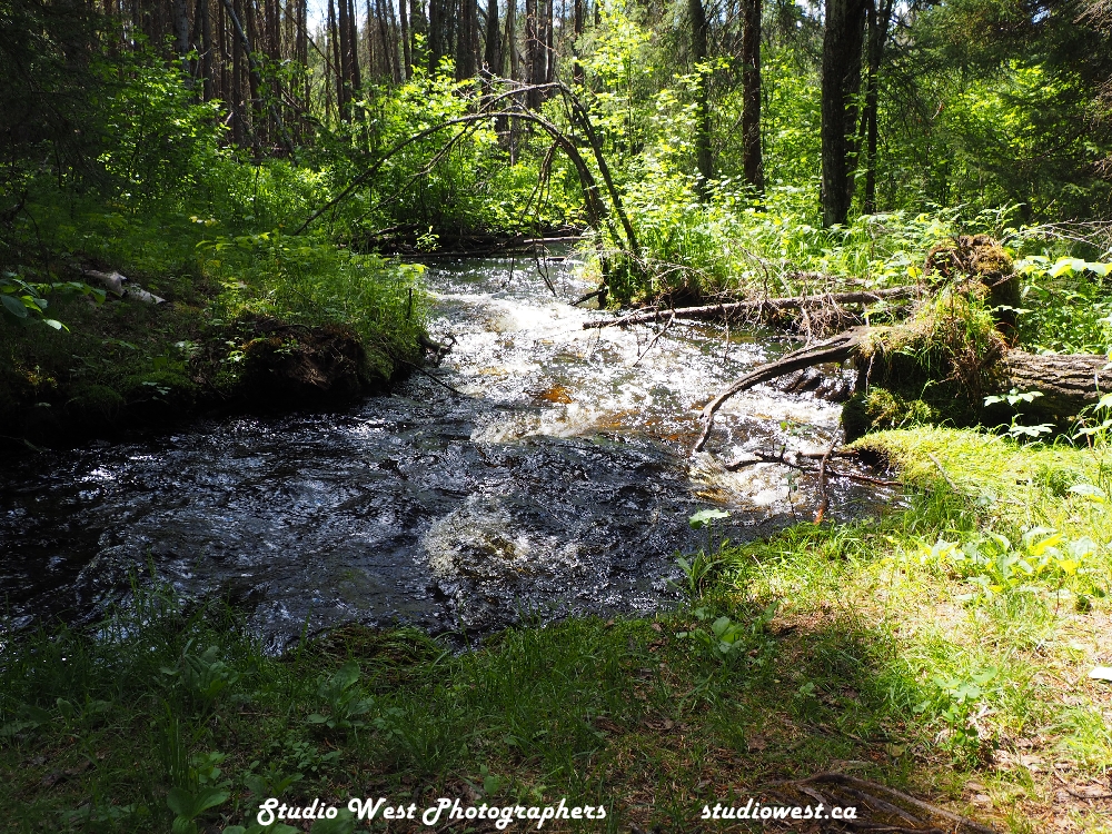 a fast stream photographed by Gerry Popplewell
