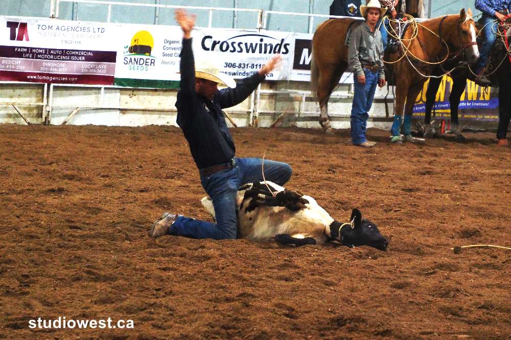 A calf roper makes a sucessful run and tie in just a few seconds.
