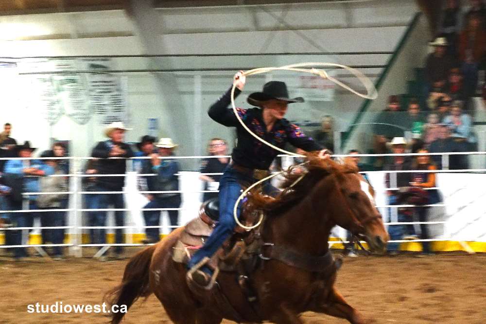 Another popular event ladies tie down roping a lot of skill handling a rope.