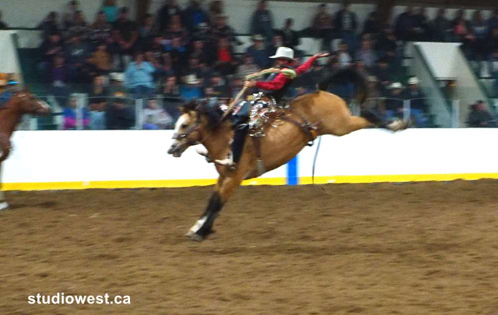 Both horse and rider are marked in this event after the eight second ride. The tougher the horse the higher the mark and the riders style in staying mounted all count.